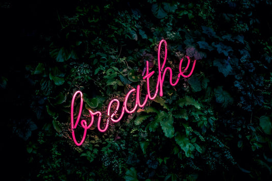 royalty free image courtesy of Unsplash