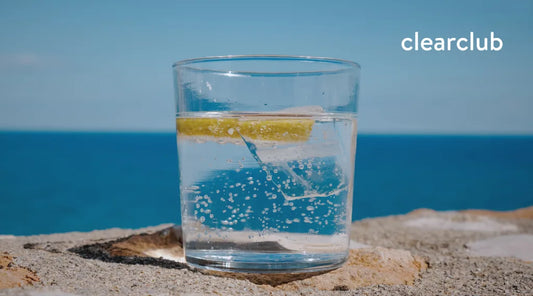 A glass of sparkling water with a slice of lemon, showing a flavored carbonated drink