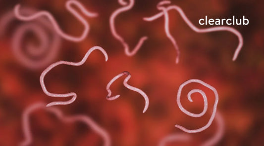 Illustration of intestinal parasites linked to teeth grinding (bruxism).