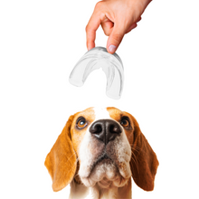 Load image into Gallery viewer, Dog Mouth Guard